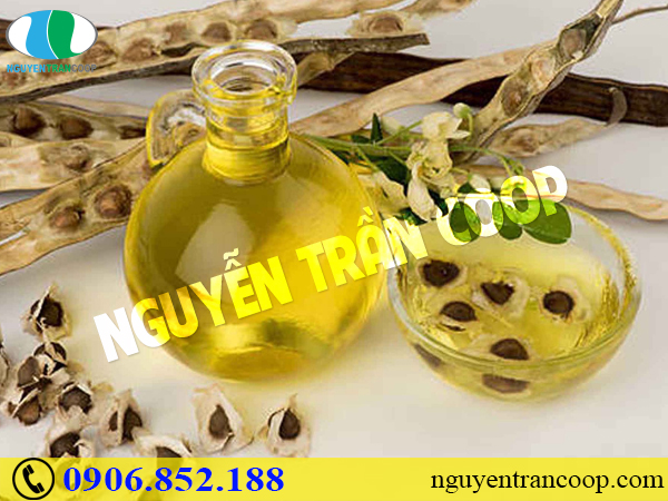 Mua Hạt Chùm Ngây ở đâu giá rẻ, chất lượng tốt?