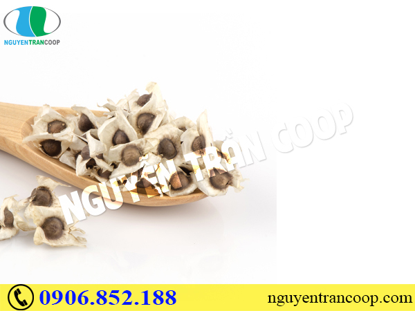 Mua Hạt Chùm Ngây ở đâu giá rẻ, chất lượng tốt?