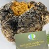 Nấm Chaga: 93% bệnh nhân tiểu đường thuyên giảm