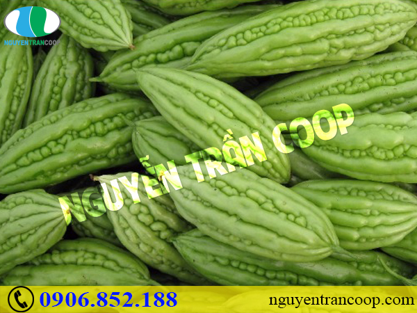 Những bài thuốc mát gan giải độc hiệu quả cho mùa hè