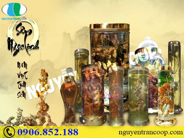 Những đối tượng nên dùng rượu Sâm Ngọc Linh