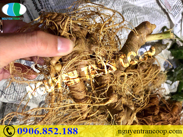 Những nguyên tắc vàng để ngăn ngừa đột quỵ