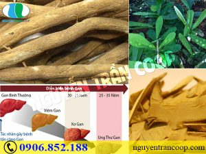 Những xét nghiệm ung thư gan bạn cần biết