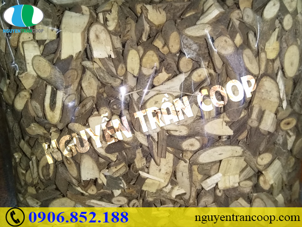 Tác dụng Cây An Xoa hỗ trợ điều trị bệnh gan hữu hiệu