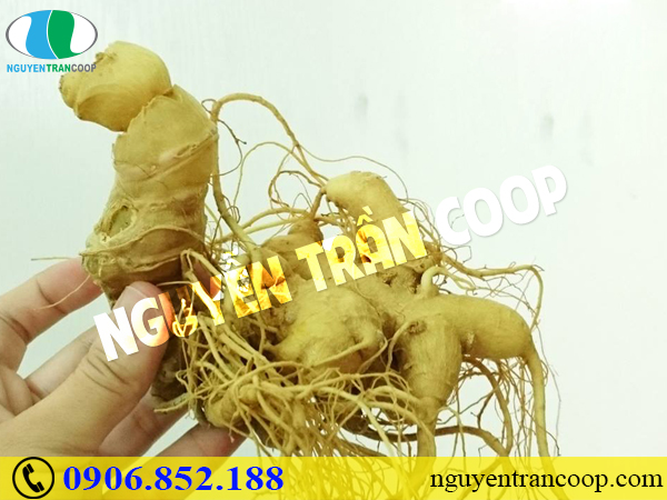 Tác hại của suy nhược thần kinh - Thật không thể xem thường