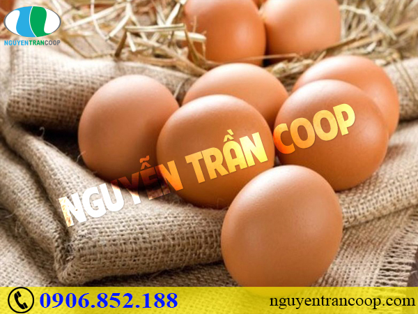 Top 5 thực phẩm tăng cân siêu lành mạnh