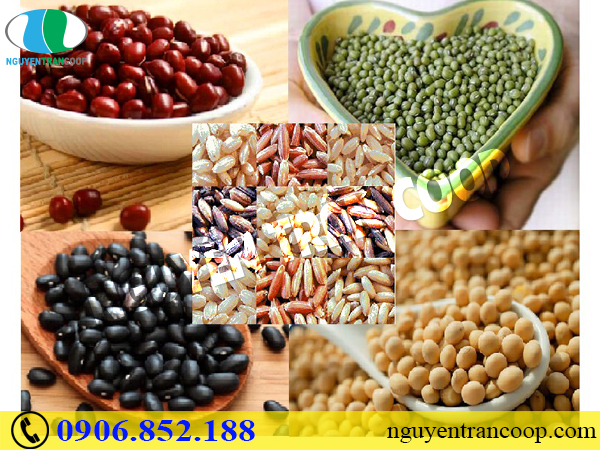 Top 5 thực phẩm tăng cân siêu lành mạnh