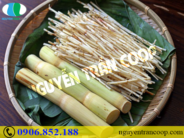 Xem ngay loại thảo dược giải nhiệt mùa nóng