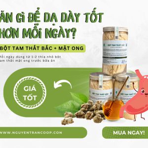 Bột Tam Thất Bắc