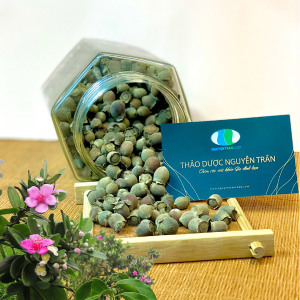 Sim Rừng Sấy Khô 1kg: Bổ máu, tráng dương, giảm đau nhức