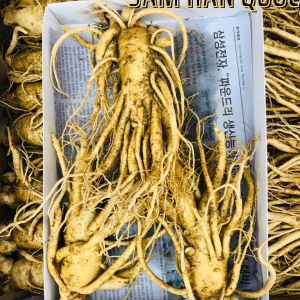 Sâm Tươi Hàn Quốc 3 Củ 1Kg