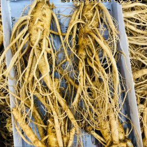 Sâm Tươi Hàn Quốc 4 Củ 1Kg