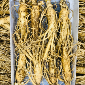 Sâm Tươi Hàn Quốc 8 Củ 1Kg