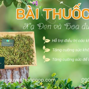 Bài Thuốc Dành Cho Người Đang Bị U Bướu ( Kể Cả U Lành Và U Ác Tính ) 2 Vị Thuốc Dân Gian