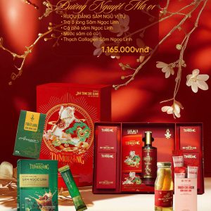 SET QUÀ TẾT 2026 “Sâm Ngọc Linh” – Đường Nguyệt Mã - Quà tặng doanh nghiệp