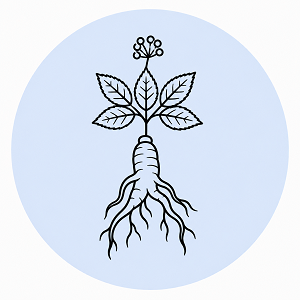 Sâm Ngọc Linh Kontum
